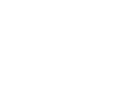 icon-academy